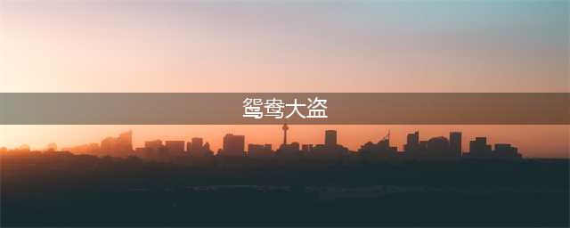 一对鸳鸯大盗，50年两个不同的版本，相同的是肾上腺素飙升依旧！(鸳鸯大盗)