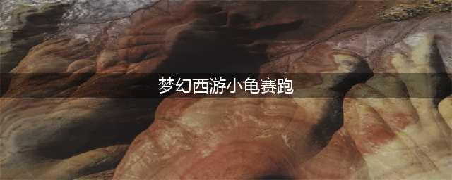 梦幻西游小龟赛跑是什么时候
