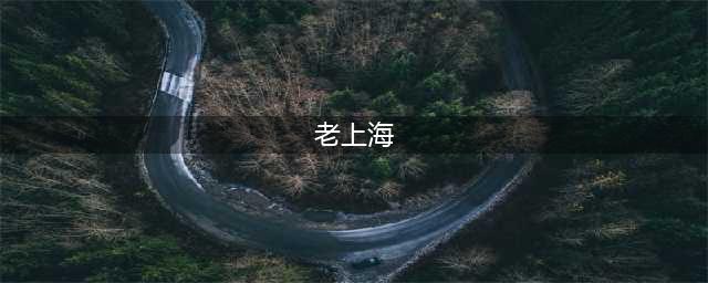 民国趣读｜旧时光里的老上海(老上海)