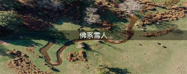 雪堆“佛系雪人”高大形象 引众人围观跪拜，求不挂科发大财(佛系雪人)