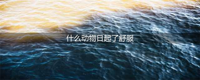 哪种动物其性最淫？(什么动物日起了舒服)