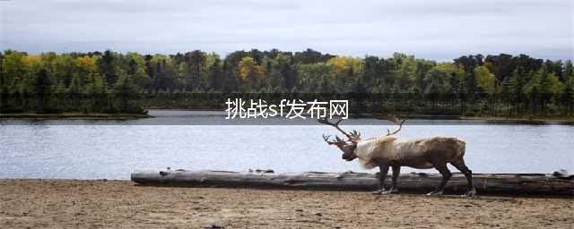 中国挑战sf网|全球专业的挑战sf网发布门户网站-挑战sf网发布网(挑战sf发布网)