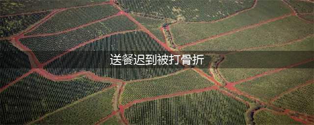 送餐迟到被打骨折 网友:得饶人处且饶人谁都不容易(送餐迟到被打骨折)