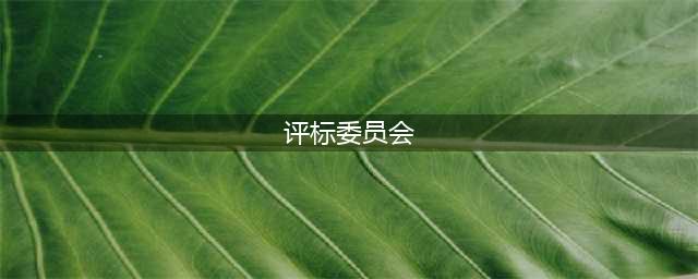 评标委员会和评标办法暂行规定（七部委令第12号）(评标委员会)
