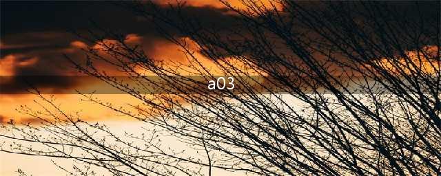 A03(a03)