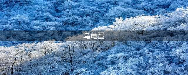乌龟蛋的功效与作用(乌龟蛋)