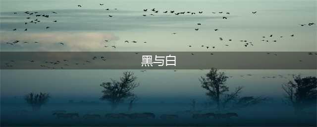 【书评】《黑与白》：内卷时代，平和对待比较和差异(黑与白)