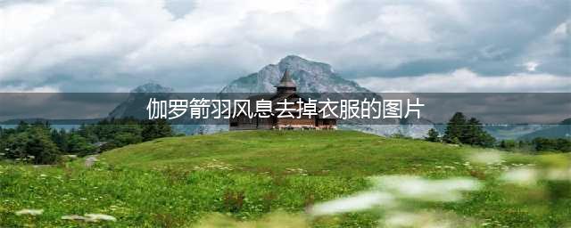 《王者荣耀》伽罗新星元部件是什么 伽罗新星元部件曝光(伽罗箭羽风息去掉衣服的图片)