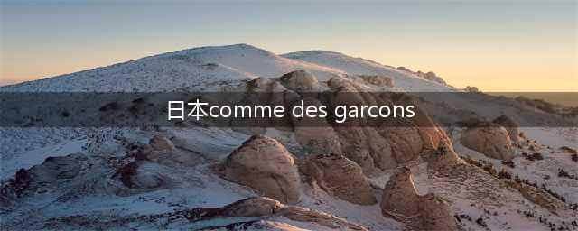COMME des GARCONS HOMME x New Balance！日本线又有新作！(日本comme des garcons)
