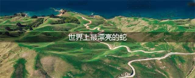 最迷人的不一定最危险，世界上9种最美丽的蛇(世界上最漂亮的蛇)