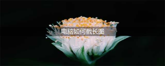 只会Ctrl+Alt+A？告诉你电脑截长图的5大方法(电脑如何截长图)