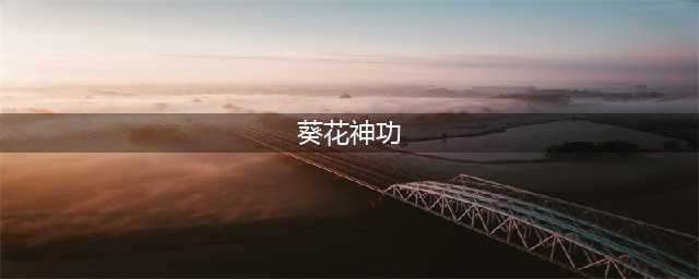 《铁血武林》内功有哪些 内功一览(葵花神功)