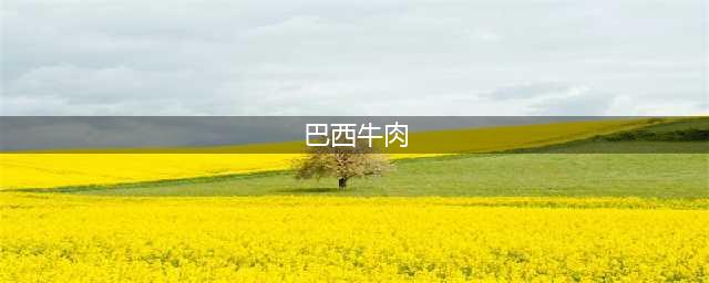 『欧亚商贸』- 巴西牛肉图解科普(巴西牛肉)