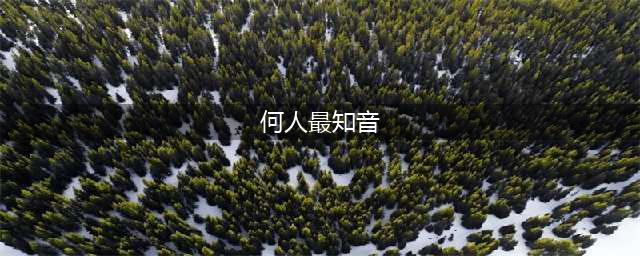 《黑暗之魂3》PVE全武器强度分析及加点思路(何人最知音)