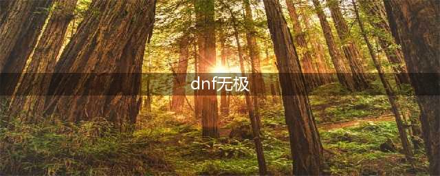 《DNF》2021武极技能怎么点 武极技能加点推荐(dnf无极)