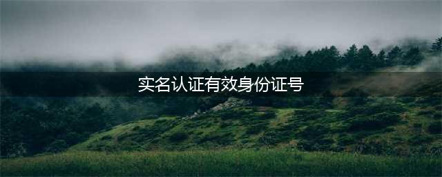 身份证的实名认证(实名认证有效身份证号)