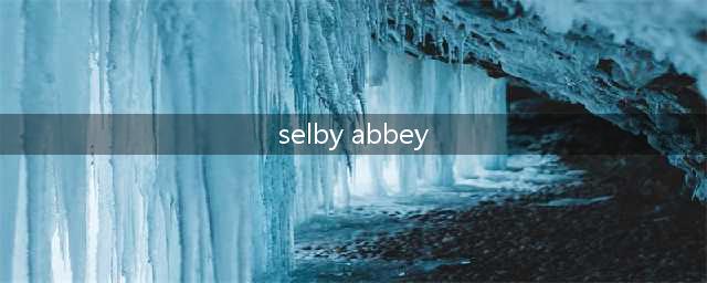 【4K顶级画质】周杰伦&昆凌 -北约克郡塞尔比教堂（Selby Abbey）婚礼时刻修复版(selby abbey)