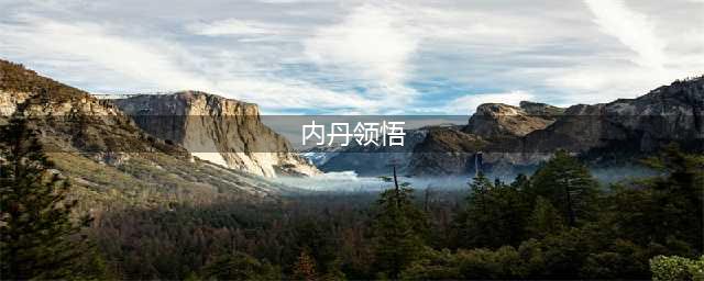 梦幻西游宝宝快速领悟内丹进阶攻略