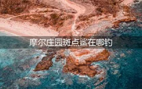 摩尔庄园斑点鲨在哪钓 斑点鲨垂钓位置介绍(摩尔庄园斑点鲨在哪钓)
