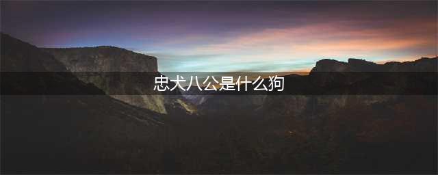 日美中三个版本的《忠犬八公》，哪部才是你心中的经典呢？(忠犬八公是什么狗)