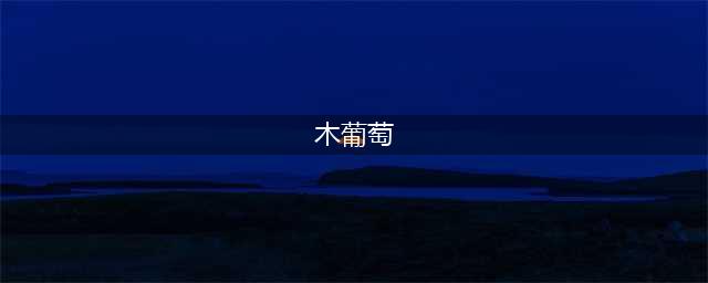木葡萄、余甘果……这些冷门水果你知道吗？(木葡萄)