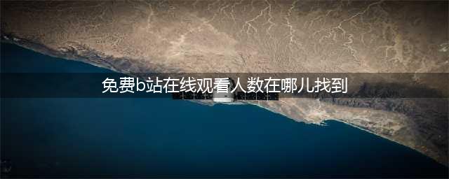 查询B站免费在线观看人数的新方法如何找到在线人数(免费b站在线观看人数在哪儿找到)