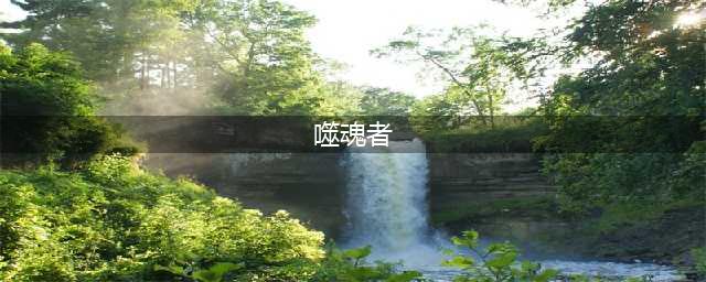 《空洞骑士》噬魂者如何获得 噬魂者获得方法分享