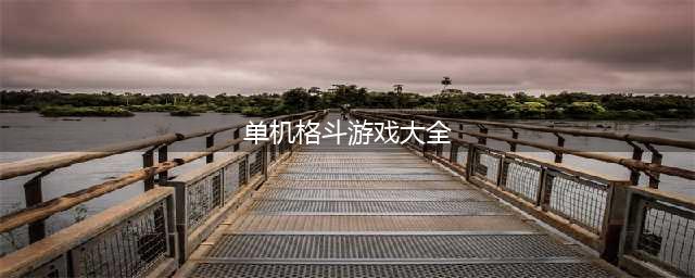 2021十款经典单机格斗游戏推荐 好玩的十款经典单机格斗游戏(单机格斗游戏大全)