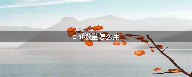《DNF》徽章系统怎么玩 全新徽章系统玩法详解(dnf徽章怎么用)
