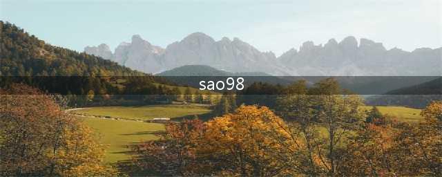 氧饱和度（SaO2）越高越好吗？(sao98)