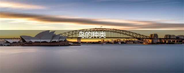 想养只鸟来当宠物？这6种鸟就挺好！漂亮粘人还好养！(鸟的种类)