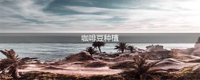 《我的世界》咖啡豆怎么种 咖啡豆种植方法介绍(咖啡豆种植)