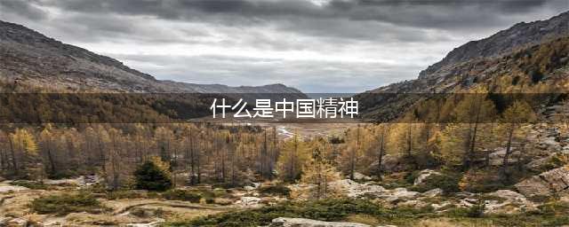什么是中国精神？(什么是中国精神)