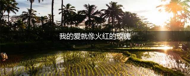 《魔兽世界》我的爱就像火红的玫瑰成就怎么解锁 成就解锁方法介绍(我的爱就像火红的玫瑰)