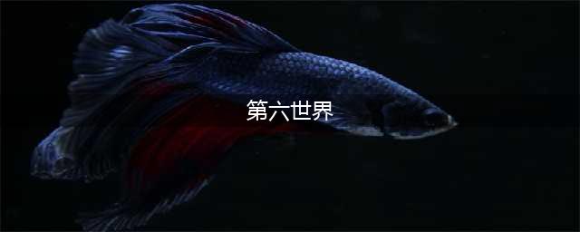 《第六世界》停服公告(第六世界)