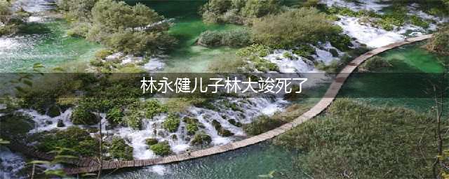 他在上春晚彩排时收到儿子去世的消息，如今成为心中永远的遗憾(林永健儿子林大竣死了)