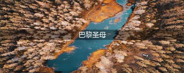 揭秘丨火灾前的巴黎圣母院里竟有这么多宝贝(巴黎圣母)