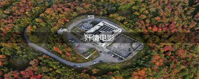 风月大师丁度尺度伦理电影《奸情》，欲望的背叛与婚姻的束缚(奸情电影)