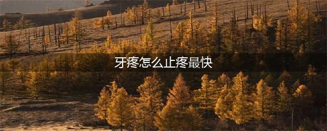 牙疼怎么缓解 7种方法快速缓解牙疼(牙疼怎么止疼最快)