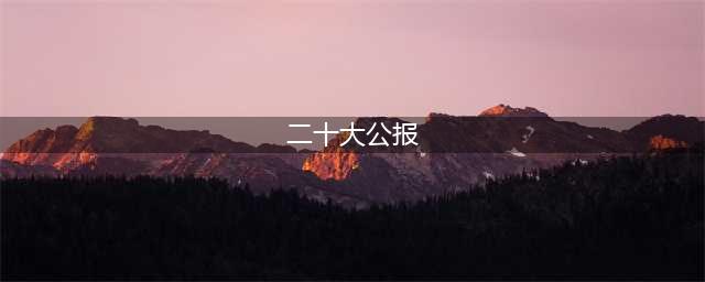 党的二十大 |中共二十届一中全会公报(二十大公报)