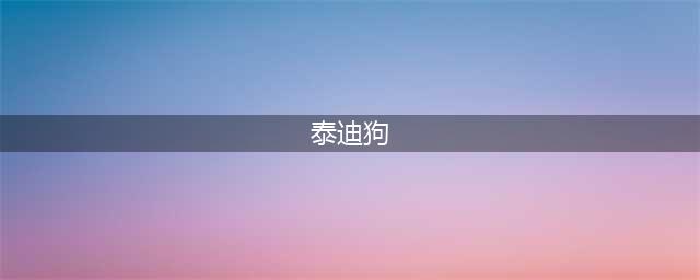 泰迪犬的八大特征，你知道几个？(泰迪狗)