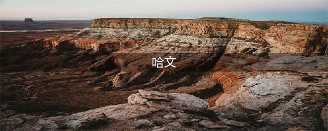 哈文：丈夫李咏离世4年后，依然赡养公公婆婆，她的坚持让人泪目(哈文)
