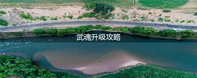 《斗罗大陆武魂觉醒》升级图文全攻略 怎么升级(武魂升级攻略)