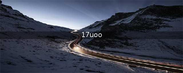 17uoo-专业服务于网游在线交易的B2B电子商务平台(17uoo)