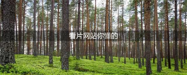 无敌，全平台通用的观影神器！(看片网站你懂的)