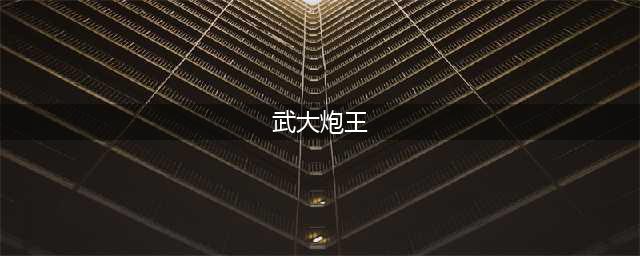 “武大炮王”除约炮以外，究竟是个什么样的人？(武大炮王)
