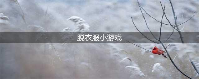 真人美女换装小游戏在线玩 真人MM换装游戏(脱衣服小游戏)