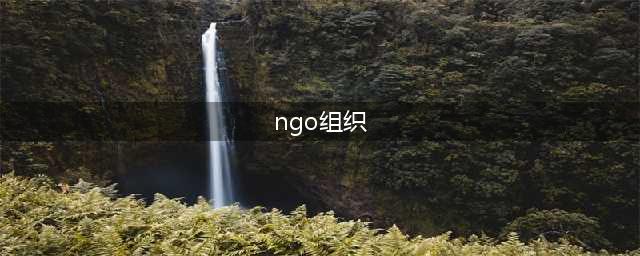 ​NGO、公益机构、慈善组织，一篇看懂它们的区别(ngo组织)