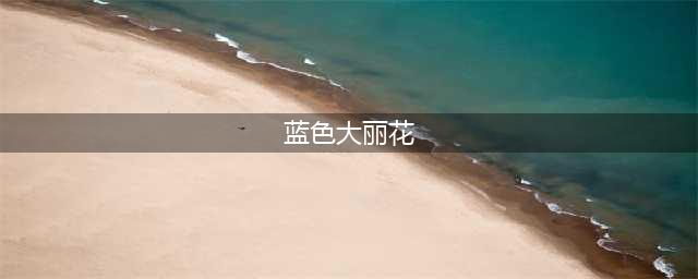 剧本杀《蓝色大丽花》复盘解析+剧透测评+真相攻略+密码答案+真相(蓝色大丽花)