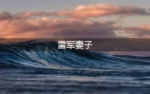 雷军初恋妻子张彤罕见现身！陪邓文迪看小米SU7，气质不输女明星(雷军妻子)